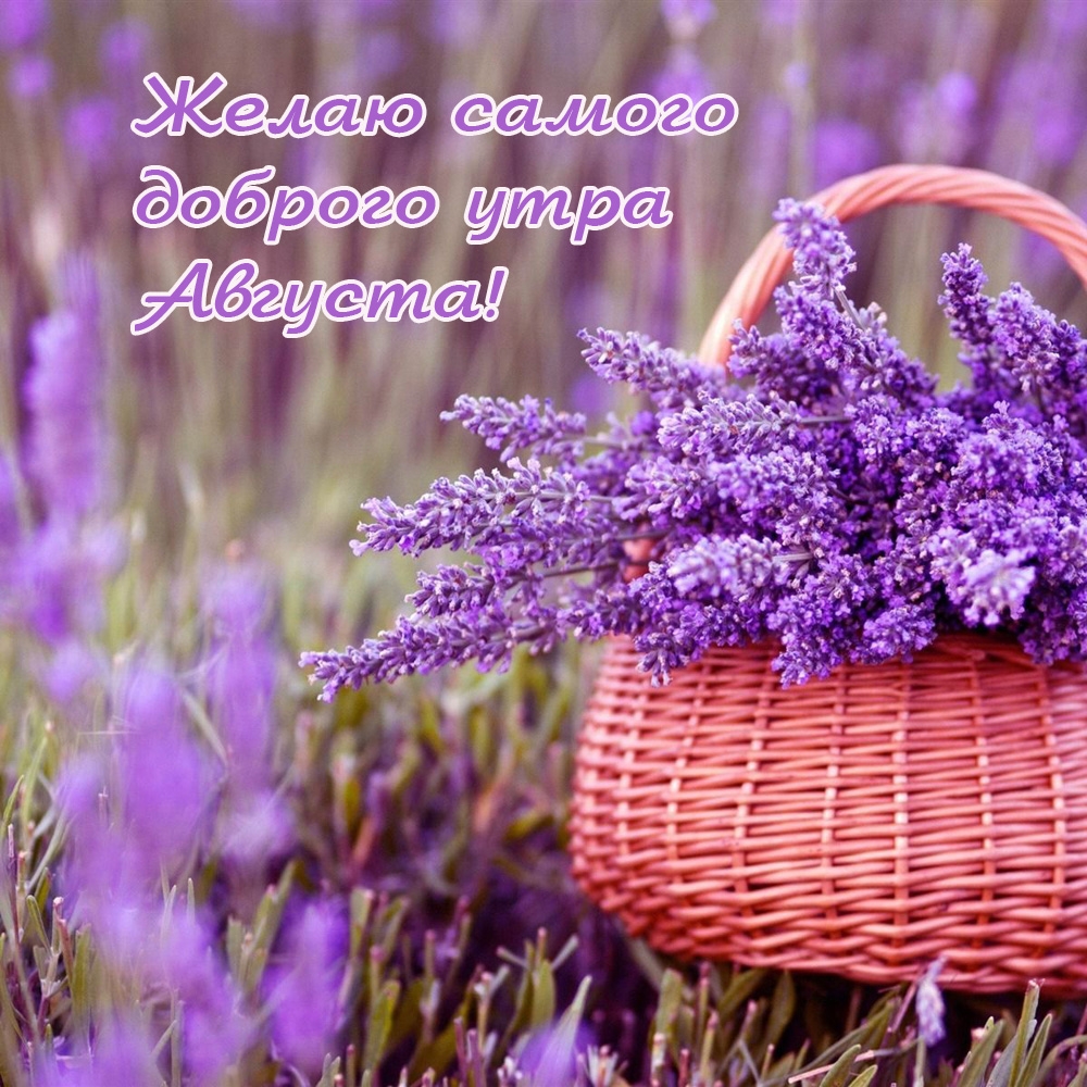 Желаю самого доброго утра августа!