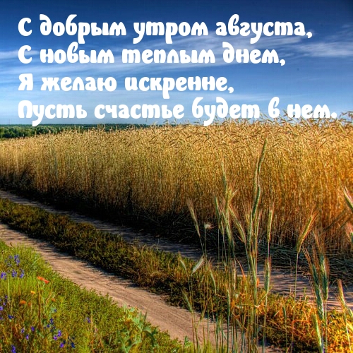 С добрым утром августа, с новым теплым днем