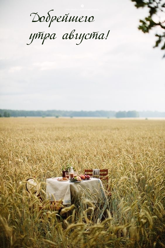 Добрейшего утра августа!