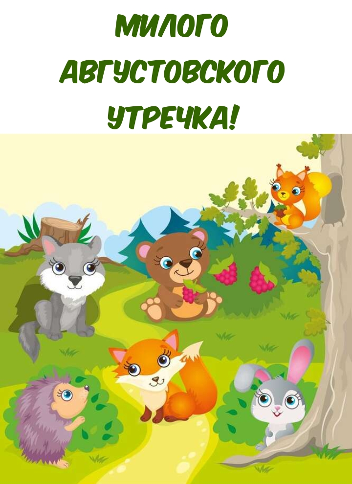 Милого Августовского Утречка!