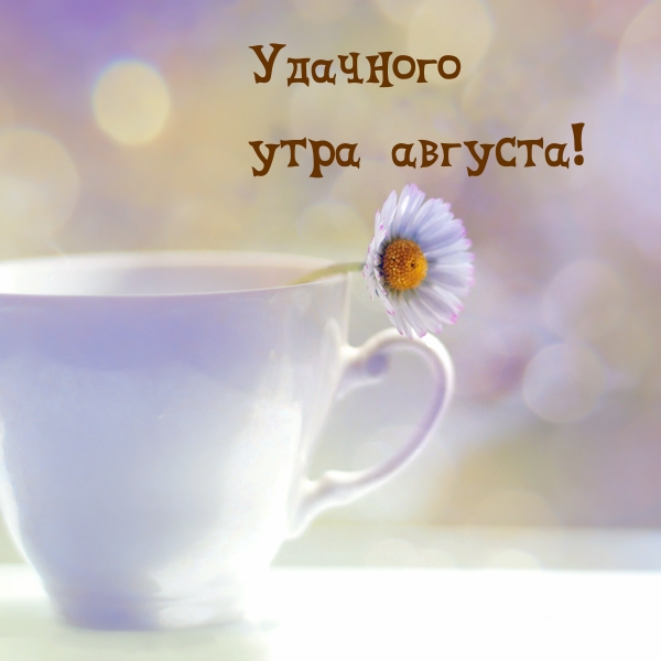 Удачного утра августа!
