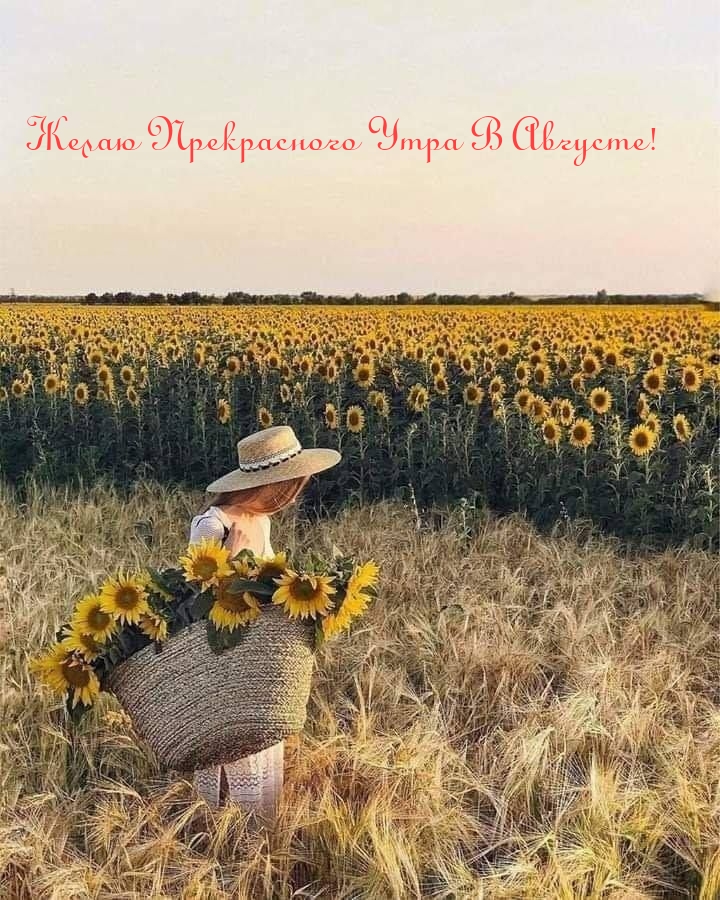 Желаю Прекрасного Утра В Августе!