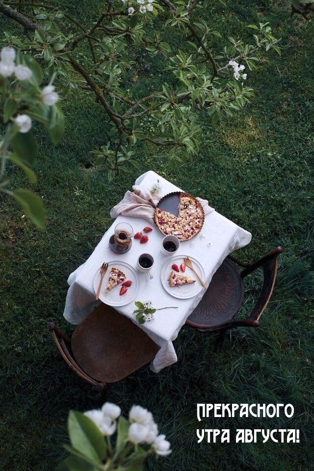 Прекрасного утра августа!