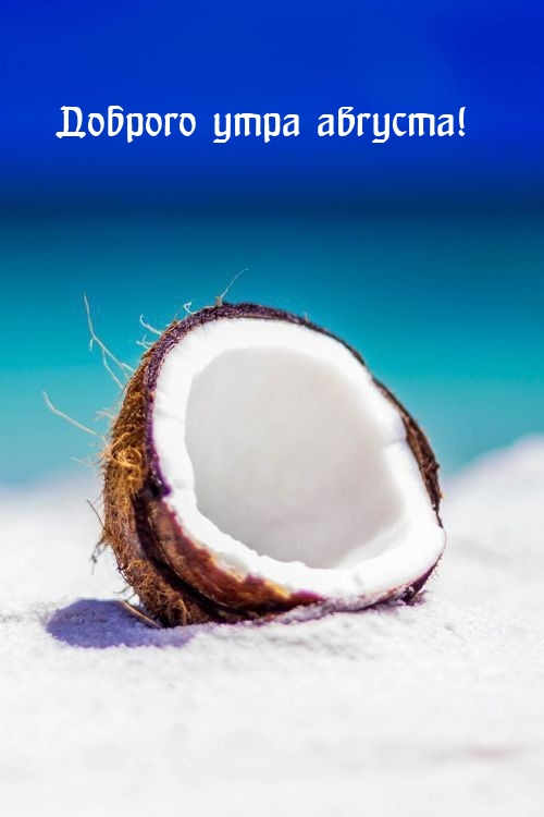 Доброго утра августа!