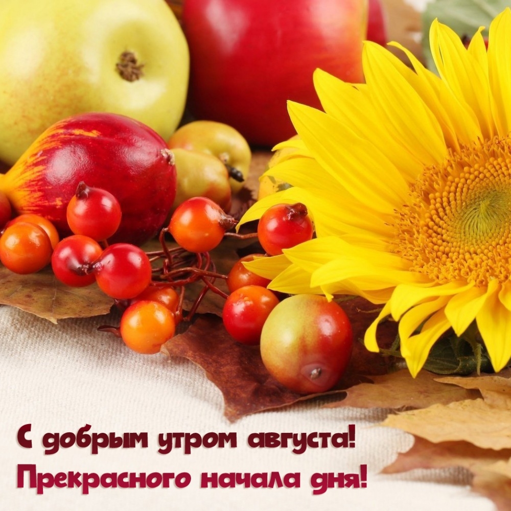 С добрым утром августа! Прекрасного начала дня!