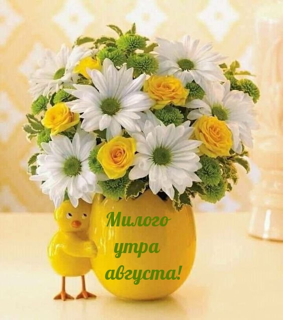 Милого утра августа!