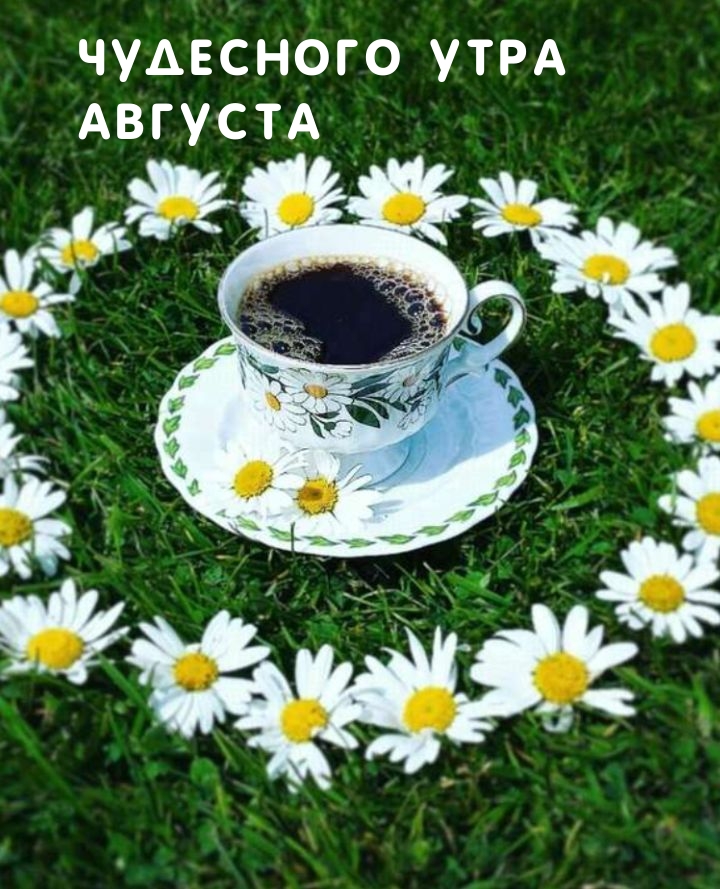 Чудесного Утра Августа