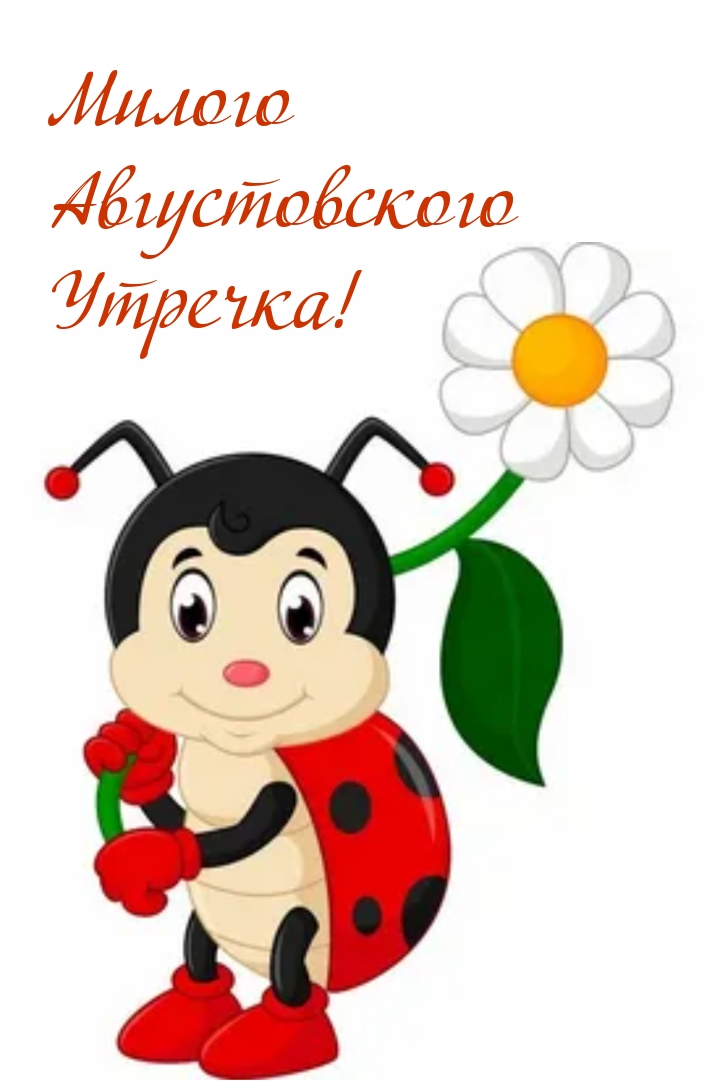 Милого Августовского Утречка!
