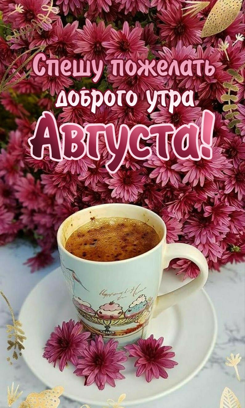 Спешу пожелать доброго утра Августа!