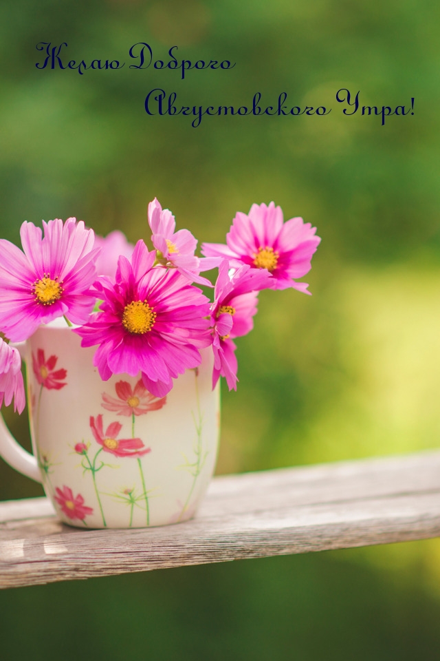 Желаю Доброго Августовского Утра!