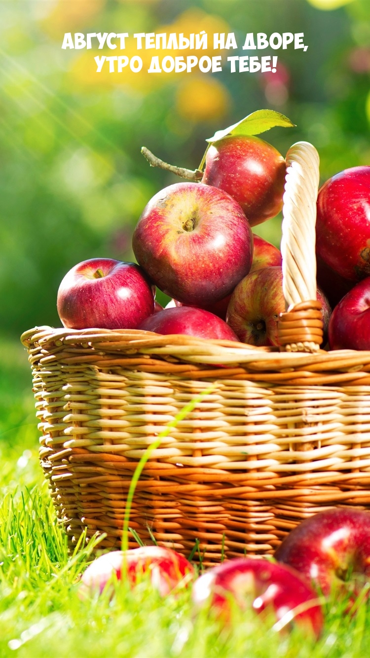 Август теплый на дворе, утро доброе тебе!