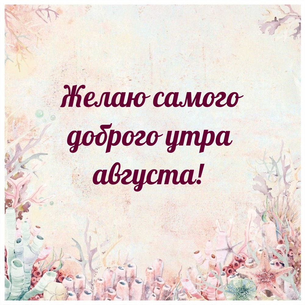 Желаю самого доброго утра августа!