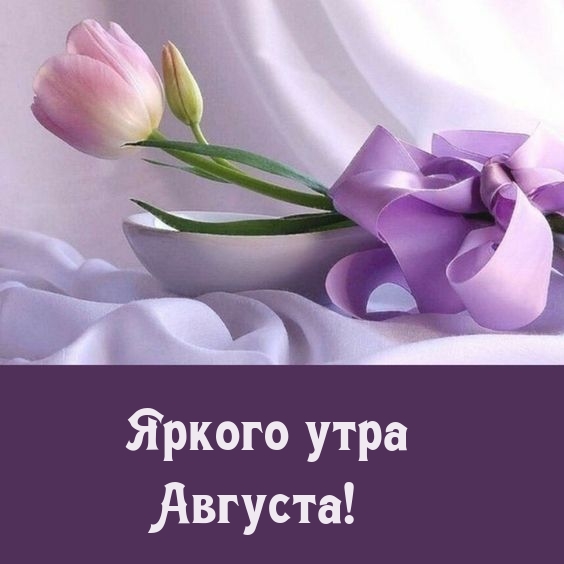 Яркого утра Августа!