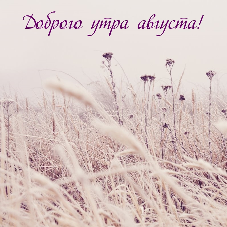 Доброго утра августа!