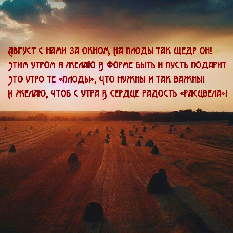 Август с нами за окном, на плоды так щедр он!