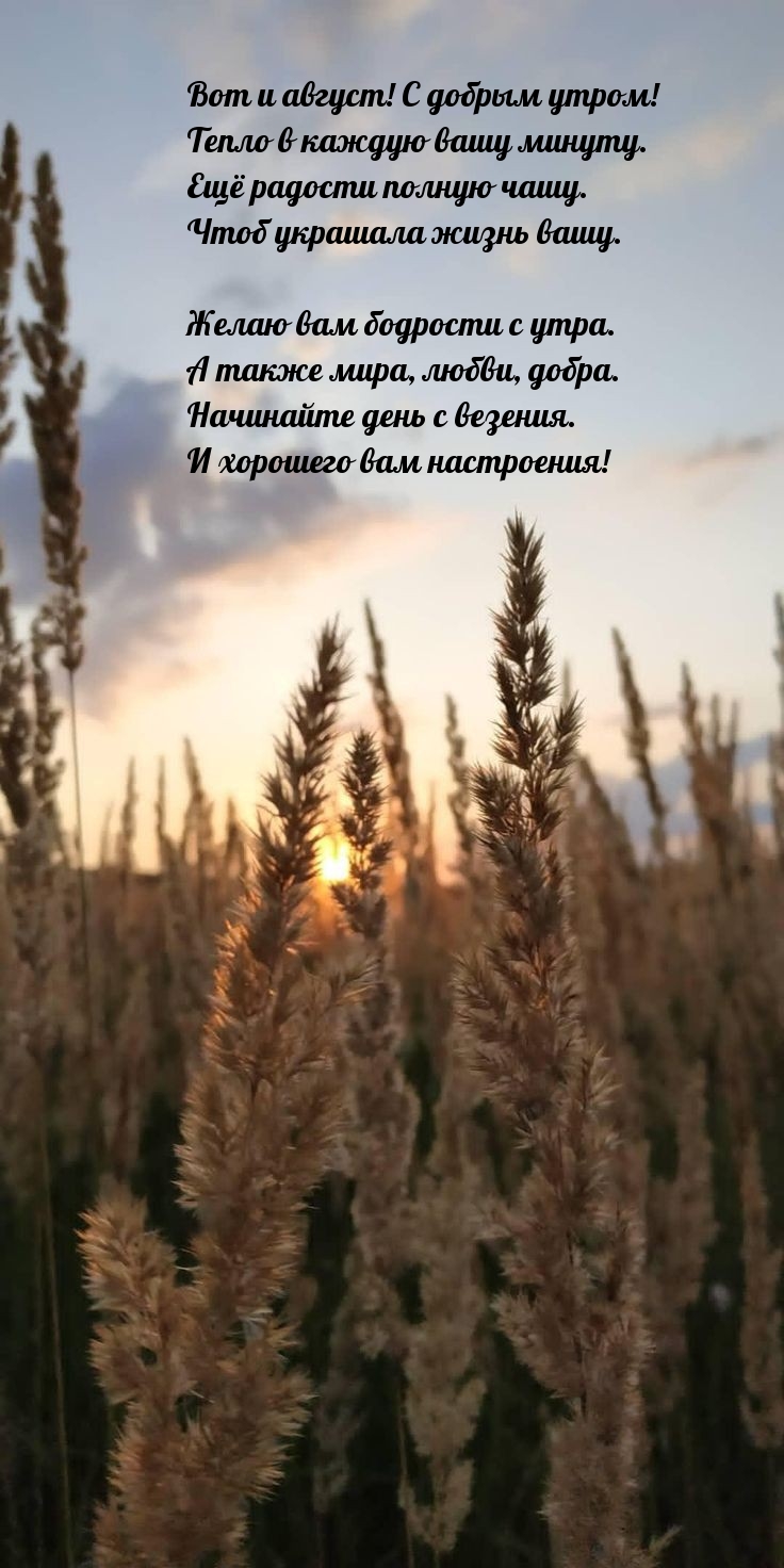 Вот и август! С добрым утром! Тепло в каждую вашу минуту.
