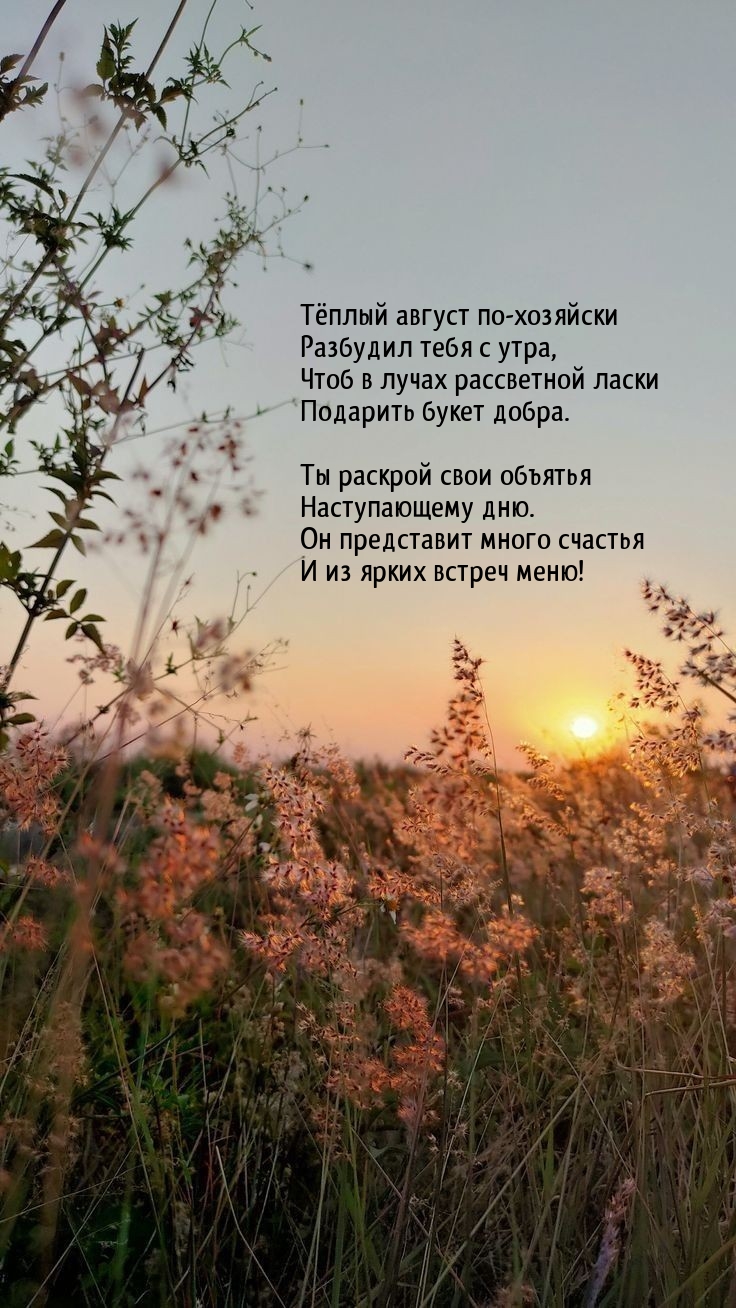 Тёплый август по-хозяйски разбудил тебя с утра