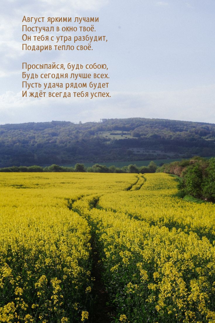 Август яркими лучами постучал в окно твоё.
