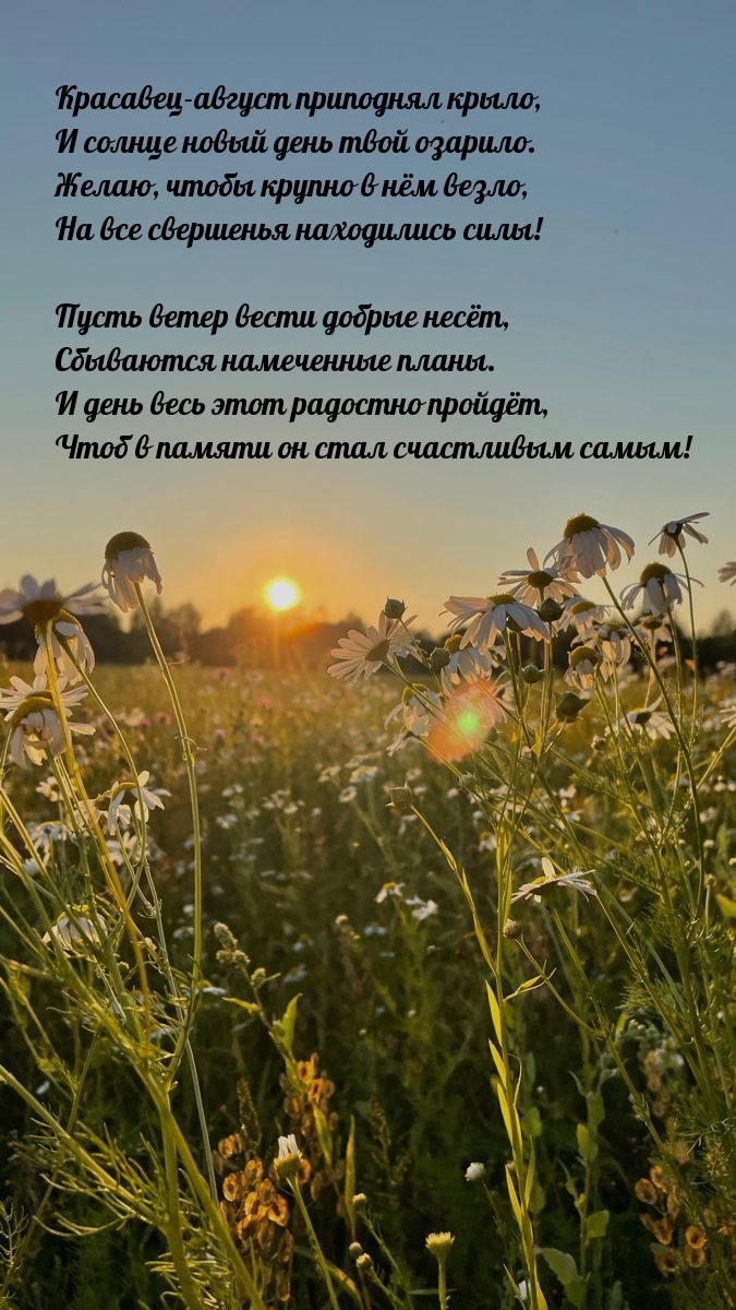 Красавец-август приподнял крыло, и солнце новый день озарило.