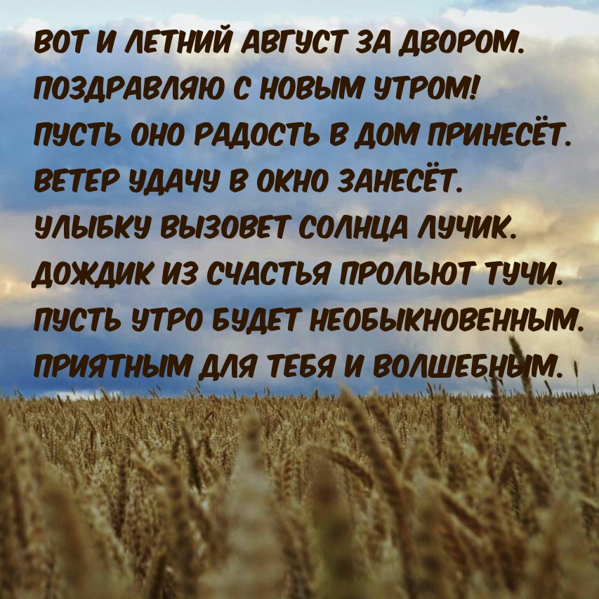 Вот и летний август за двором. Поздравляю с новым утром!