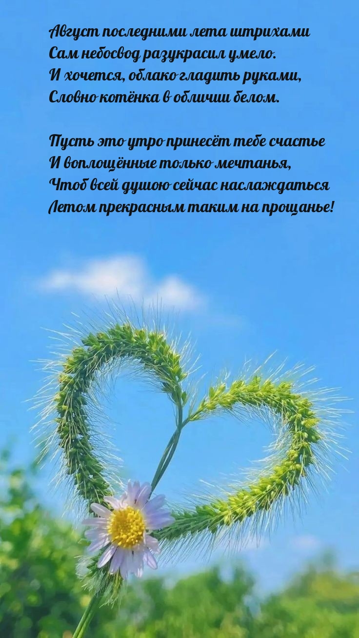 Август последними лета штрихами Сам небосвод разукрасил умело.