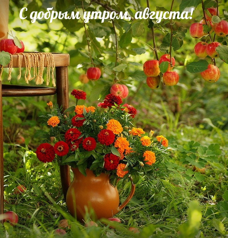 С добрым утром, августа!