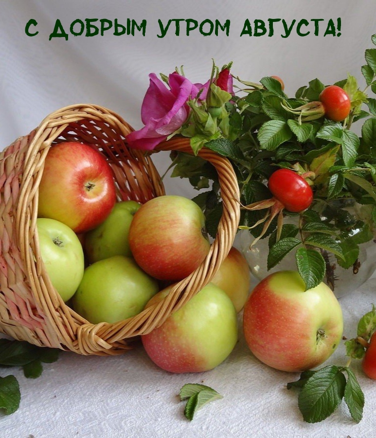 С добрым утром августа!