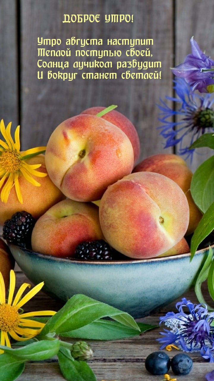 Утро августа наступит теплой поступью своей