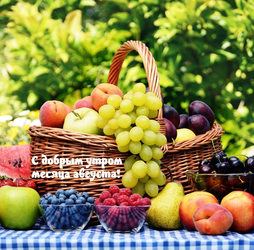 С добрым утром месяца августа!