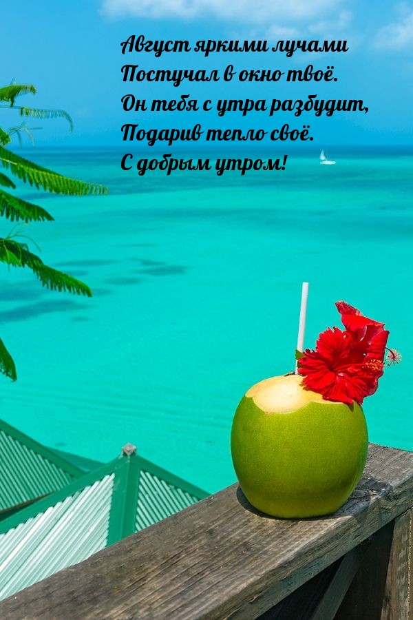 Август яркими лучами постучал в окно твоё.