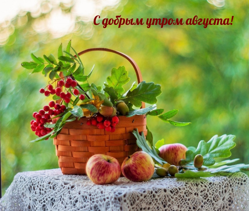С добрым утром августа!