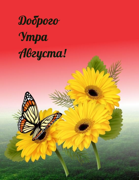 Доброго Утра Августа!