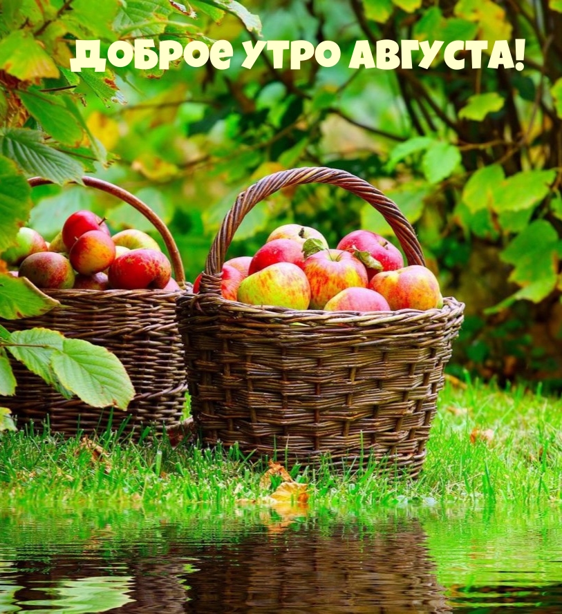 Доброе утро августа!