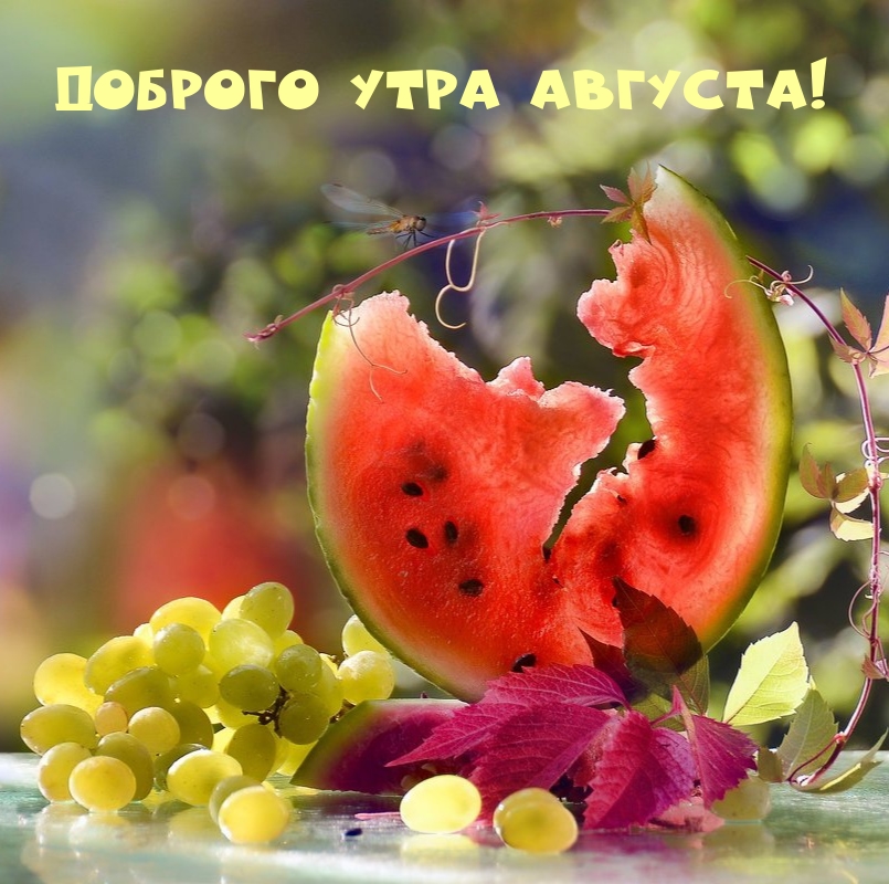Доброго утра августа!