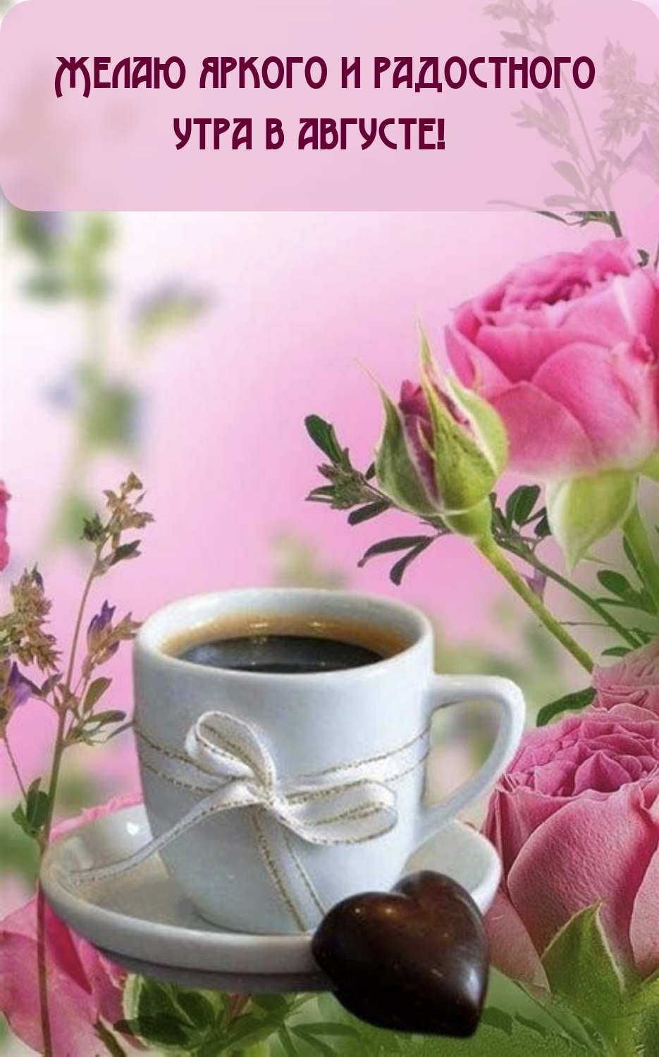 Желаю яркого и радостного утра в августе!