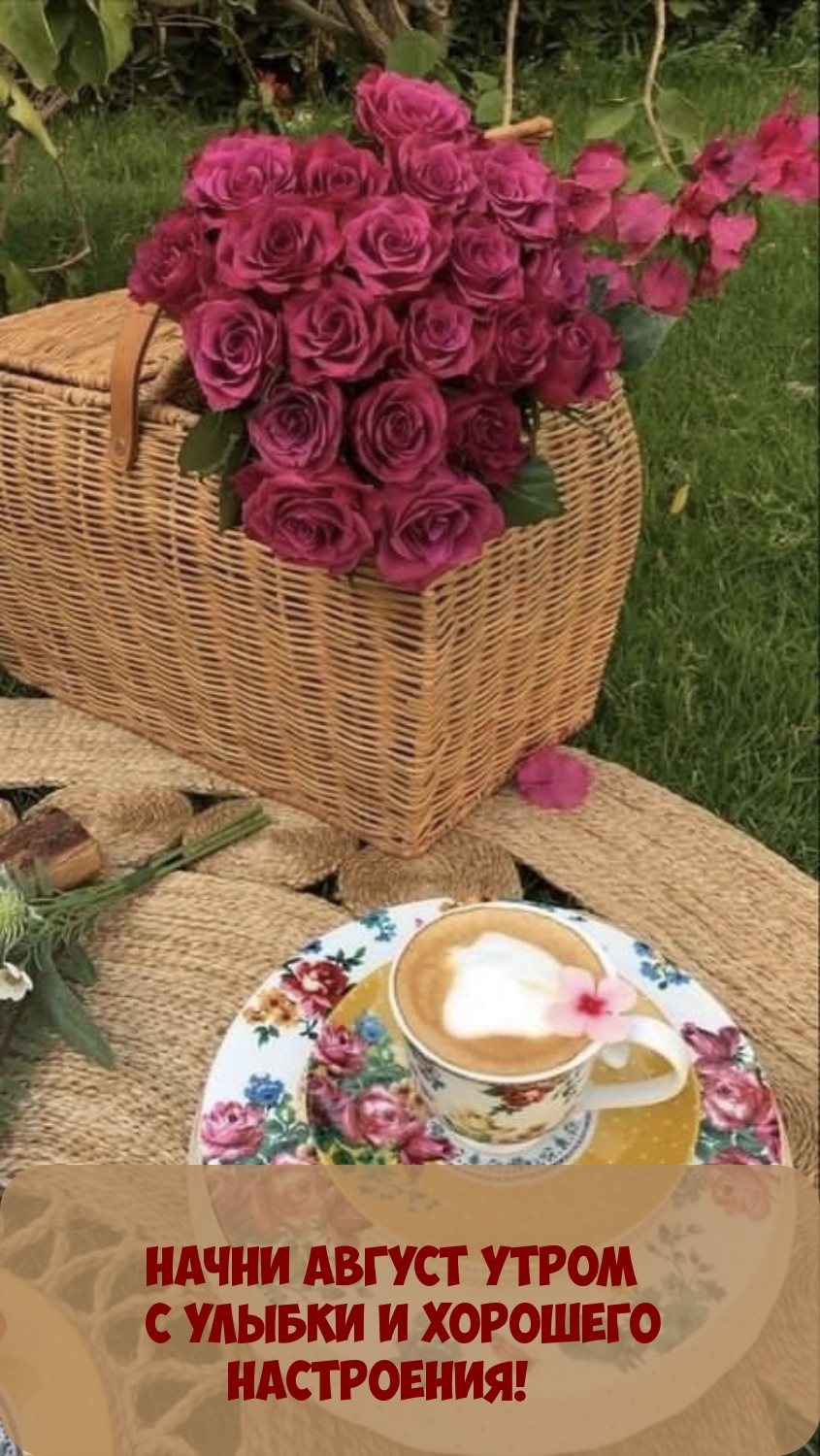 Начни август утром с улыбки и хорошего настроения!