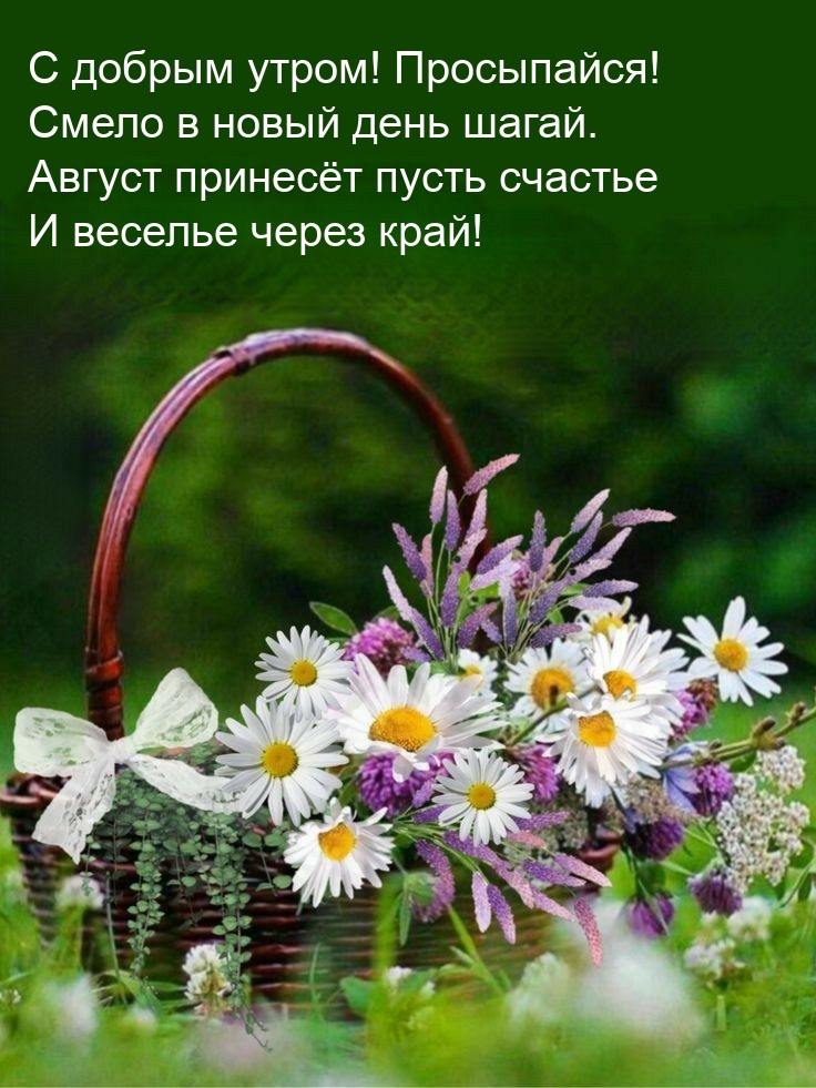 С добрым утром! Просыпайся! Август принесёт пусть счастье