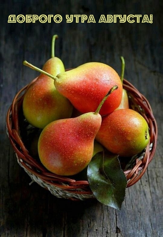 Доброго утра августа!