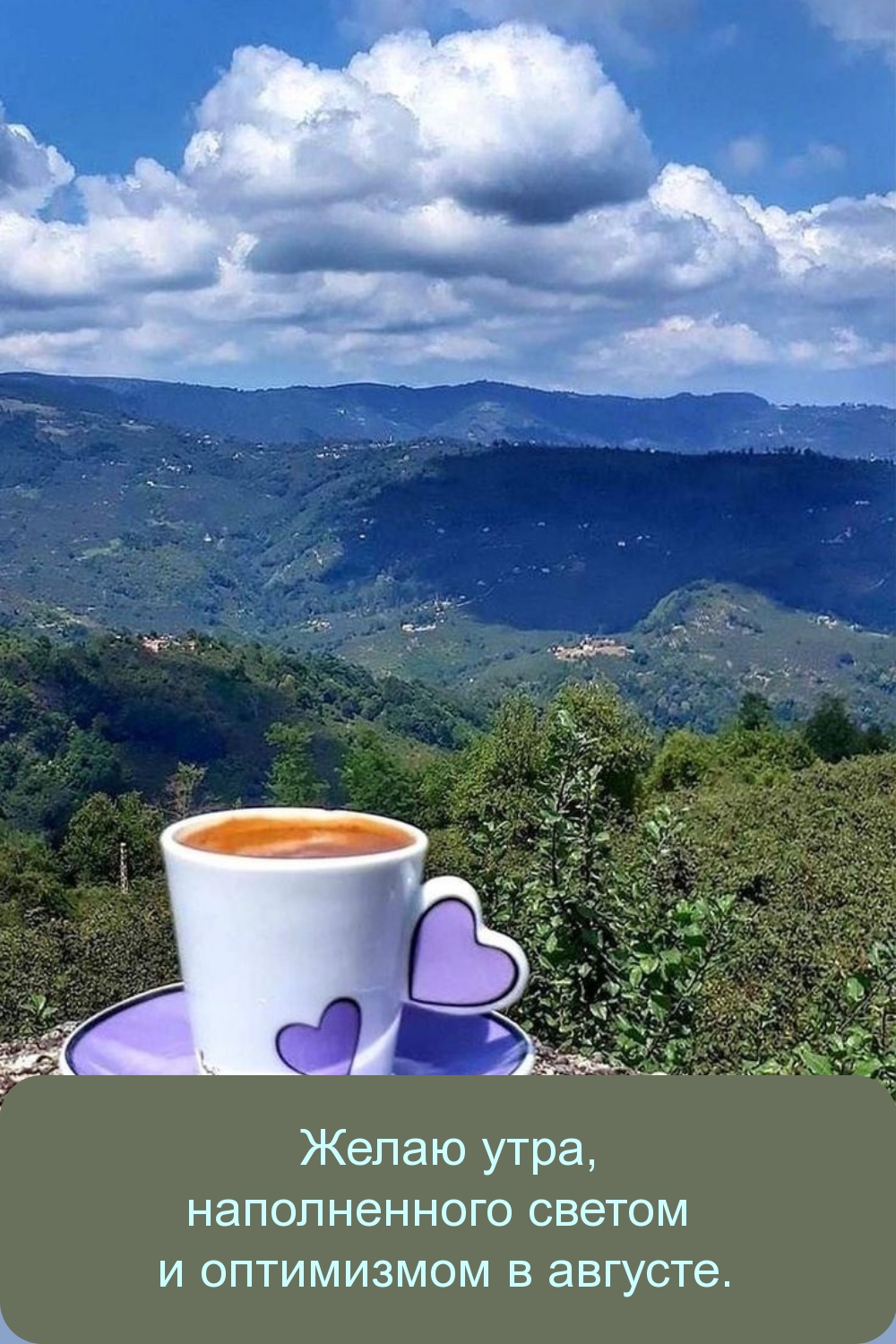 Желаю утра, наполненного светом и оптимизмом в августе.