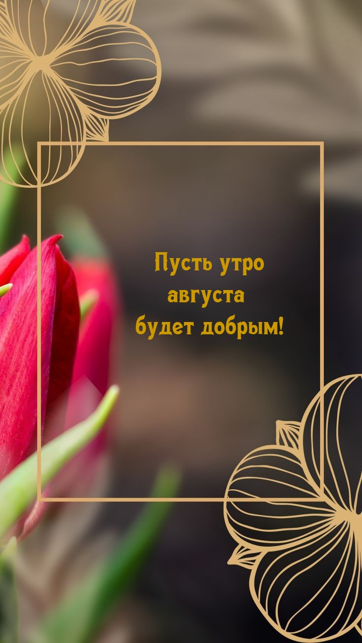 Пусть утро августа будет добрым!