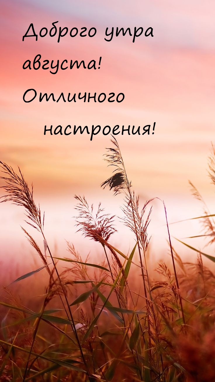 Доброго утра августа! Отличного настроения! 