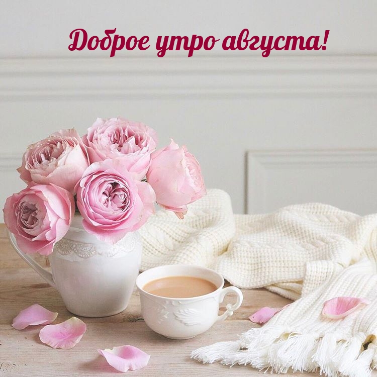 Доброе утро августа!