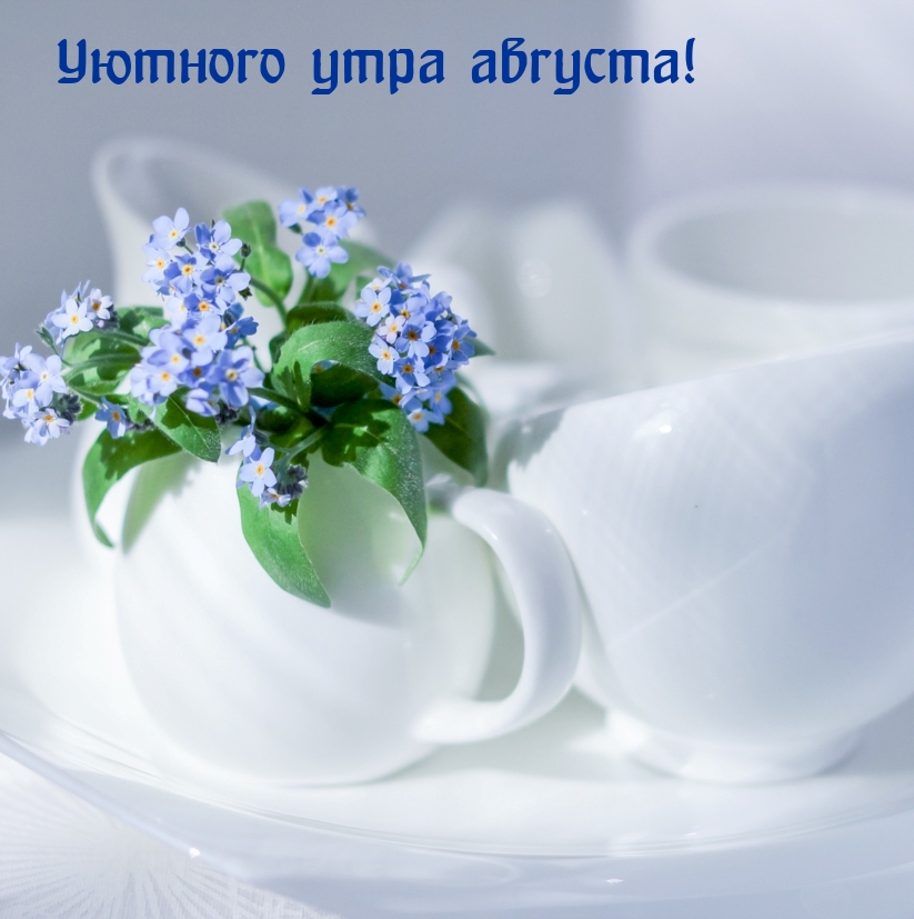 Уютного утра августа!