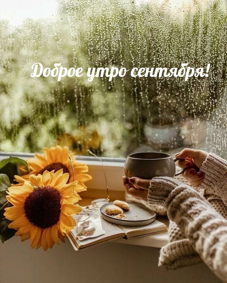 Доброе утро сентября!