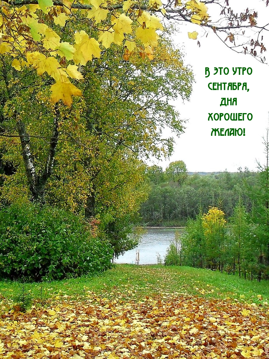 В это утро сентября, дня хорошего желаю!