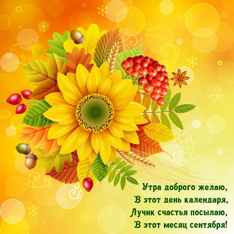 Лучик счастья посылаю, в этот месяц сентября!