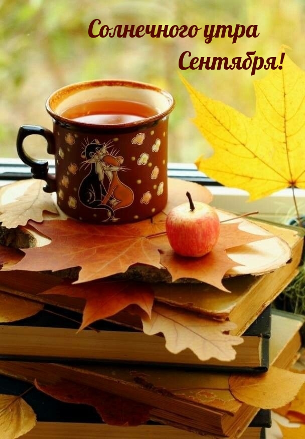 Солнечного утра Сентября!