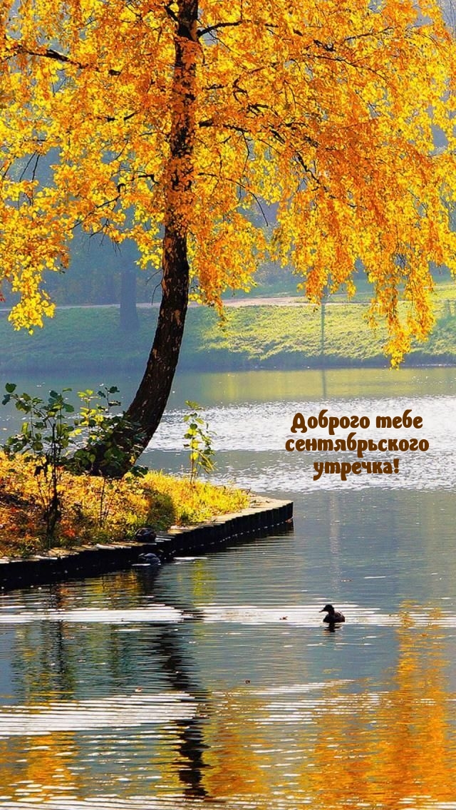 Доброго тебе сентябрьского утречка!