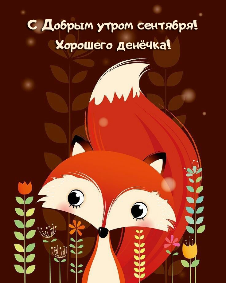 С Добрым утром сентября!  Хорошего денёчка!