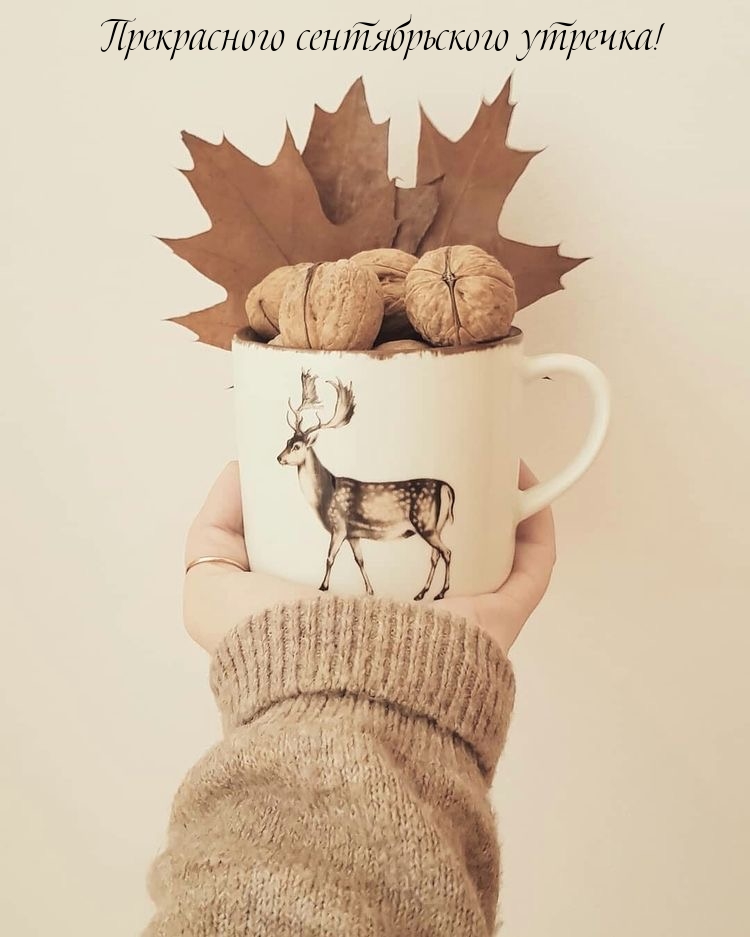 Прекрасного сентябрьского утречка!